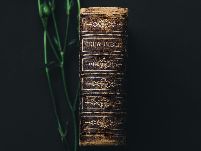 Holy Bible beside white rose